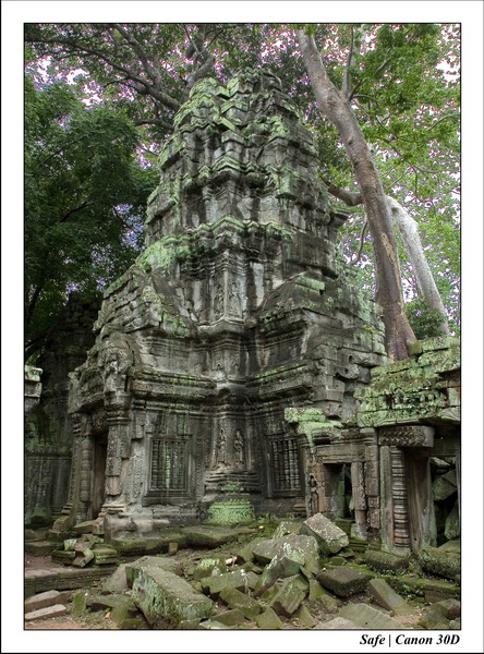 2006 - 07 - Temple angkor - Ta Prohm 28